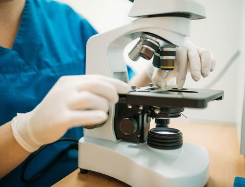 Exploring Your Pet’s Health Through Lab Work